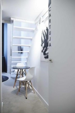 CARTUJA Modern & Luxury